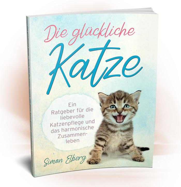 Ebook-Cover-katze